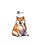 短文で伝える太っちょ柴犬（個別スタンプ：36）