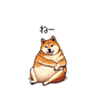 短文で伝える太っちょ柴犬（個別スタンプ：37）