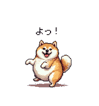短文で伝える太っちょ柴犬（個別スタンプ：40）