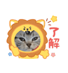 コロみスタンプ（個別スタンプ：6）