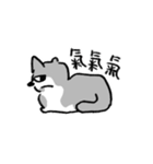 小さなコアラちゃん（個別スタンプ：7）