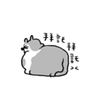 小さなコアラちゃん（個別スタンプ：17）
