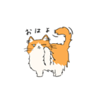 いろんな猫さん #1きなこさん（個別スタンプ：1）