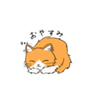 いろんな猫さん #1きなこさん（個別スタンプ：2）