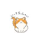 いろんな猫さん #1きなこさん（個別スタンプ：4）