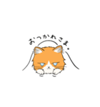 いろんな猫さん #1きなこさん（個別スタンプ：8）
