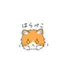 いろんな猫さん #1きなこさん（個別スタンプ：9）