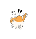 いろんな猫さん #1きなこさん（個別スタンプ：11）