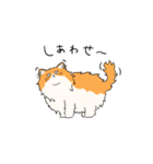 いろんな猫さん #1きなこさん（個別スタンプ：13）