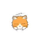 いろんな猫さん #1きなこさん（個別スタンプ：14）