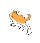 いろんな猫さん #1きなこさん（個別スタンプ：16）