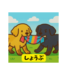 ゴールデンレトリバーのゆるかわスタンプ3（個別スタンプ：4）