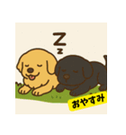 ゴールデンレトリバーのゆるかわスタンプ3（個別スタンプ：6）