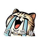 茶トラのオジ猫スタンプ（個別スタンプ：6）