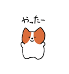 可愛いコーギーいぬ（個別スタンプ：1）