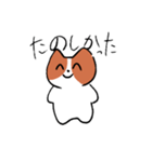 可愛いコーギーいぬ（個別スタンプ：5）