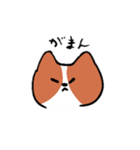可愛いコーギーいぬ（個別スタンプ：10）