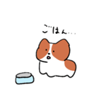可愛いコーギーいぬ（個別スタンプ：13）