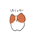 可愛いコーギーいぬ（個別スタンプ：14）
