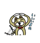 ワンだこれ（個別スタンプ：1）