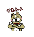 ワンだこれ（個別スタンプ：2）