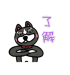ワンだこれ（個別スタンプ：10）