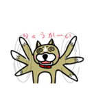 ワンだこれ（個別スタンプ：11）