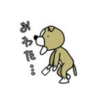 ワンだこれ（個別スタンプ：14）