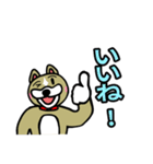 ワンだこれ（個別スタンプ：16）