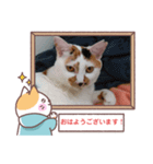 敬語版のイト・トロ・マシュのスタンプ（個別スタンプ：1）