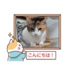 敬語版のイト・トロ・マシュのスタンプ（個別スタンプ：2）