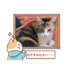 敬語版のイト・トロ・マシュのスタンプ（個別スタンプ：5）