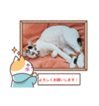 敬語版のイト・トロ・マシュのスタンプ（個別スタンプ：7）