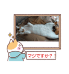 敬語版のイト・トロ・マシュのスタンプ（個別スタンプ：9）