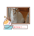 敬語版のイト・トロ・マシュのスタンプ（個別スタンプ：10）