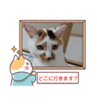 敬語版のイト・トロ・マシュのスタンプ（個別スタンプ：11）