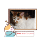 敬語版のイト・トロ・マシュのスタンプ（個別スタンプ：12）