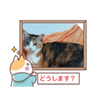 敬語版のイト・トロ・マシュのスタンプ（個別スタンプ：13）