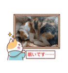 敬語版のイト・トロ・マシュのスタンプ（個別スタンプ：14）