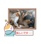 敬語版のイト・トロ・マシュのスタンプ（個別スタンプ：15）