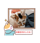 敬語版のイト・トロ・マシュのスタンプ（個別スタンプ：16）
