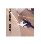 ミエルの日常vol.1（個別スタンプ：2）