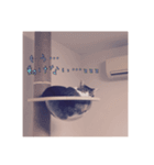 ミエルの日常vol.1（個別スタンプ：4）