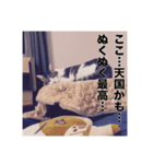 ミエルの日常vol.1（個別スタンプ：5）