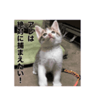 ミエルの日常vol.1（個別スタンプ：11）