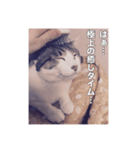 ミエルの日常vol.1（個別スタンプ：12）