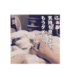ミエルの日常vol.1（個別スタンプ：17）