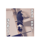 ミエルの日常vol.1（個別スタンプ：23）