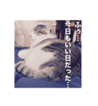 ミエルの日常vol.1（個別スタンプ：26）