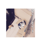 ミエルの日常vol.1（個別スタンプ：27）